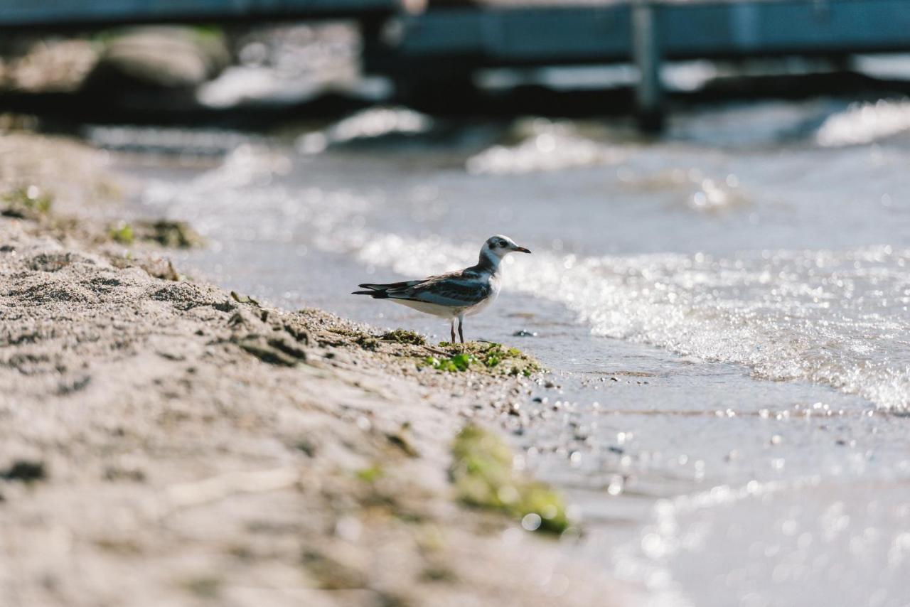 Insel Der Sinne Görlitz Exteriör bild